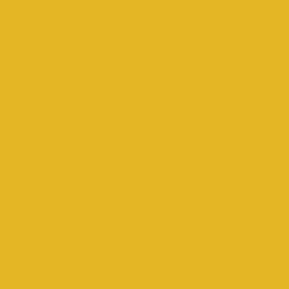 ANT Yellow, 24" x 50’, Permanent Vinyl Roll, Adhesive Vinyl Roll, for DI...