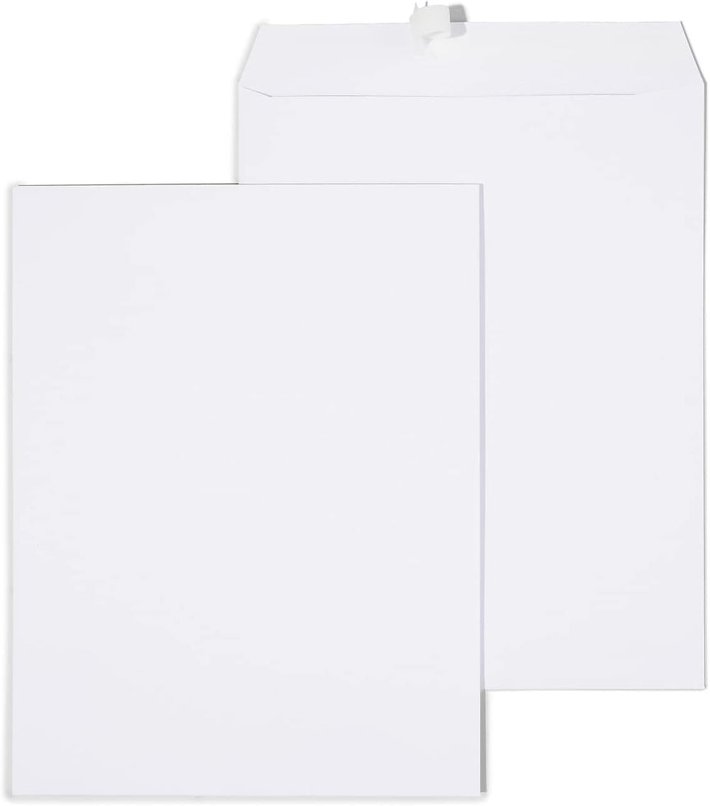 Staples 10x13 Gummed Catalog Envelopes, White Wove, 100/Box