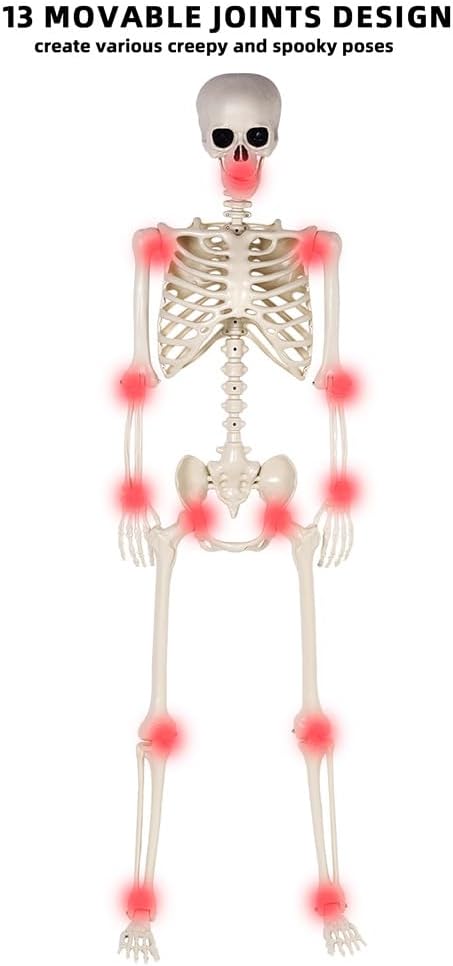 5.4 ft Halloween Skeleton - Life Size Human Skeleton with Full Body Posable J...