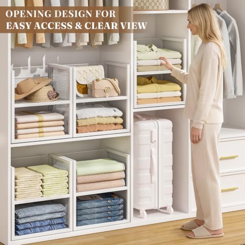 DAOUTIME 6-Tier Stackable Closet Organizers and Storage Basket, Wire Closet S...