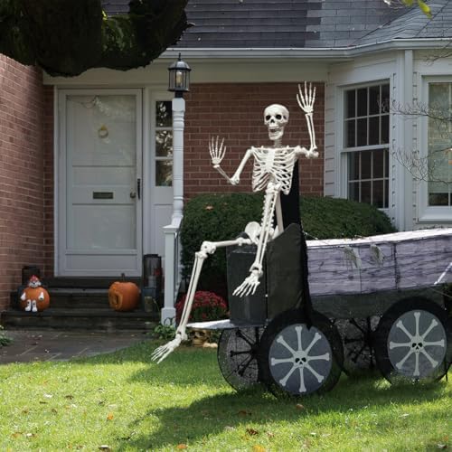 5.9FT Poseable Life Size Skeleton, Plastic Full Size Spooky Scary Skeleton wi...