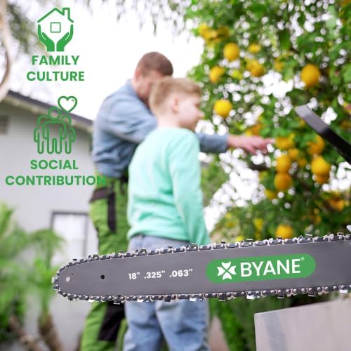 BYANE 18 Inch Chainsaw Chain .325" Pitch .063" Gauge 74 Drive Links