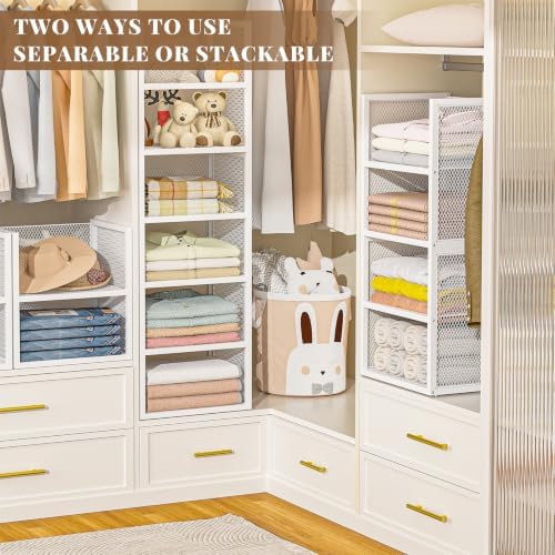 DAOUTIME 6-Tier Stackable Closet Organizers and Storage Basket, Wire Closet S...