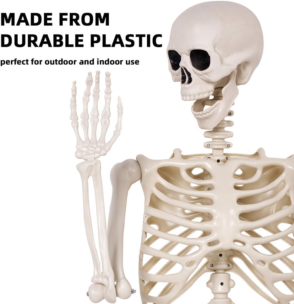 5.4 ft Halloween Skeleton - Life Size Human Skeleton with Full Body Posable J...