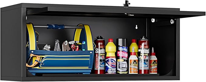 Small Wall-Mounted Locking Cabinet Metal Garage Storage Cabinet Hanging