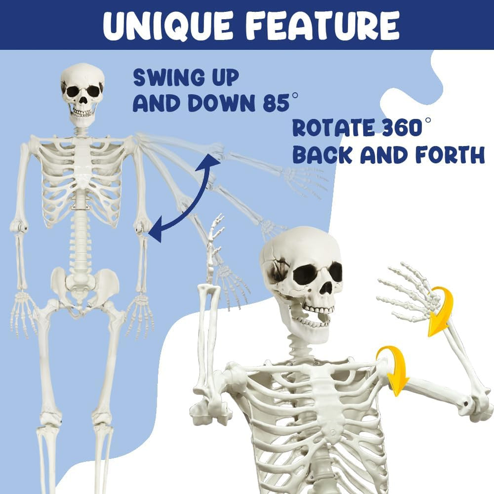 5.9Ft Halloween Life Size Skeleton with Cat for Halloween Party Decor