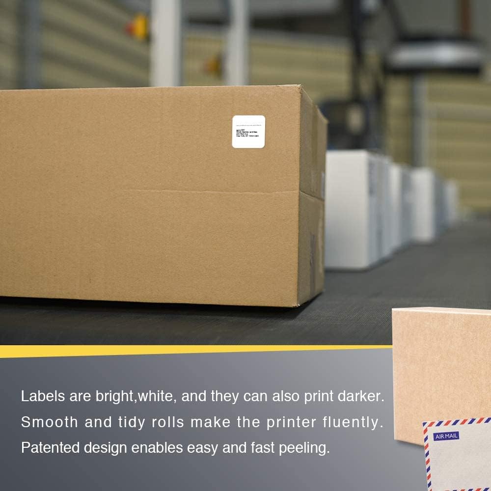 BETCKEY 1" x 1" (25 mm x 25 mm) Square Thermal Labels,10 Roll/13800...