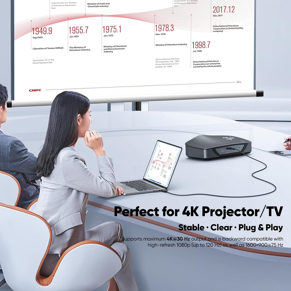 Display Port to HDMI Cable 3ft 10 Pack DisplayPort to HDMI 4K@30Hz