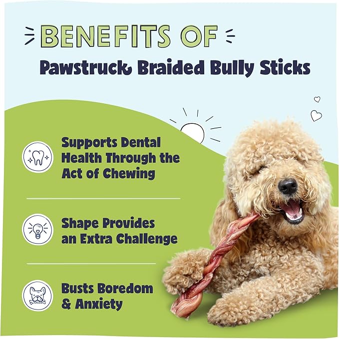 Pawstruck Natural 12" Braided Bully Sticks (5 Count)