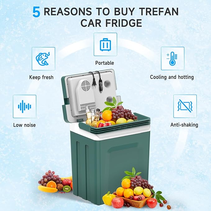 SHAREWIN Electric Cooler & Warmer