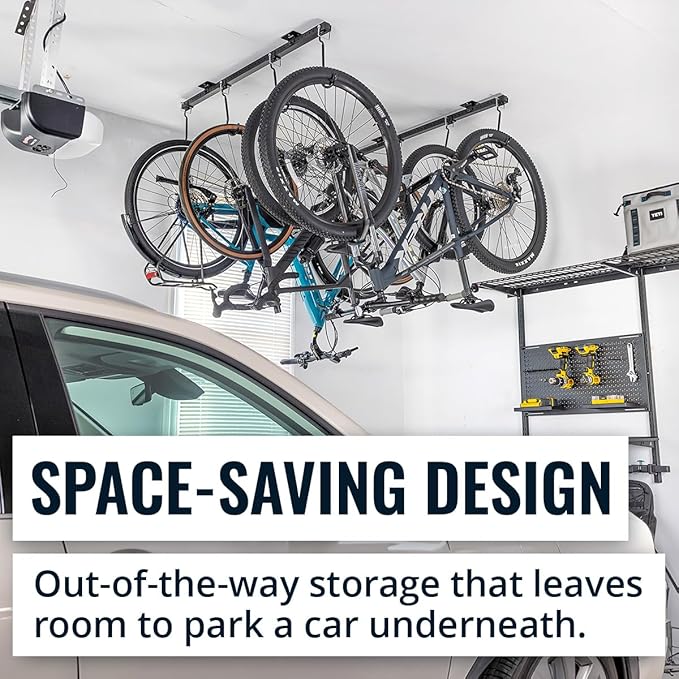 Teal Triangle Ceiling Mounted Bike Rack