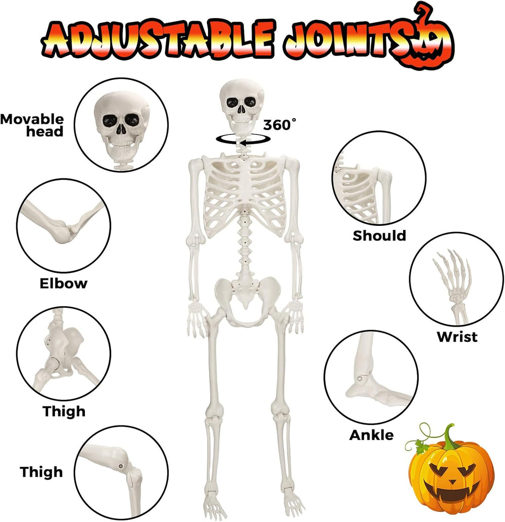5.4 FT Halloween Life Size Skeleton, Full Size Skeleton Poseable