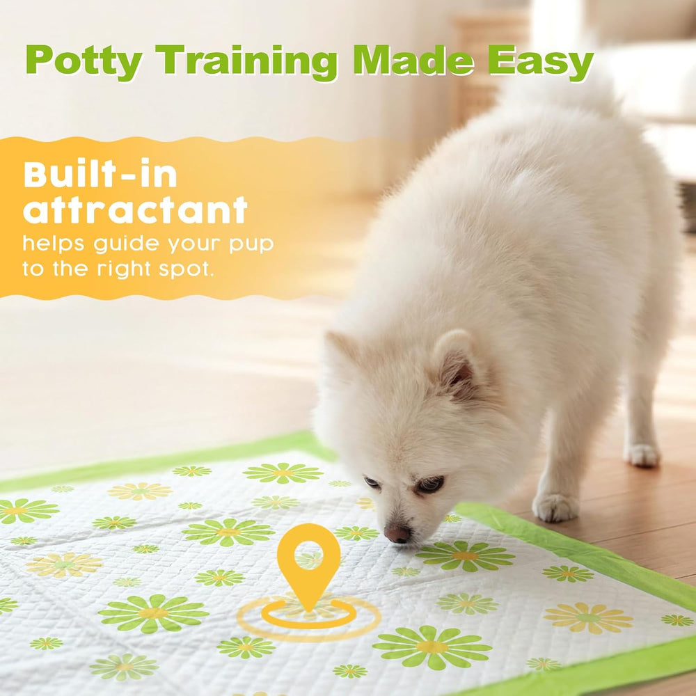 MIZOK Puppy Pads with Adhesive Tabs Green Daisy Prints Small 22x22in 100Ct