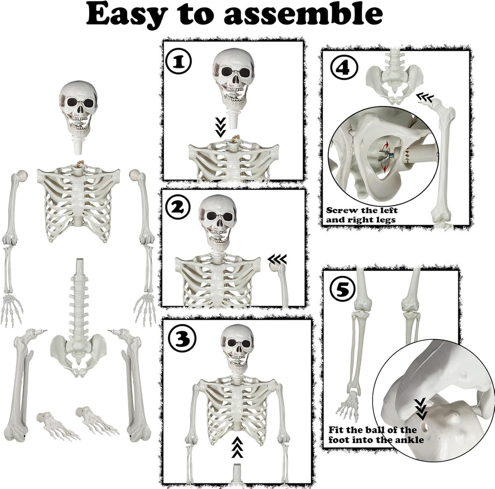5.9ft Halloween Life Size Skeleton Realistic Full Body Skeletons Plastic Huma...