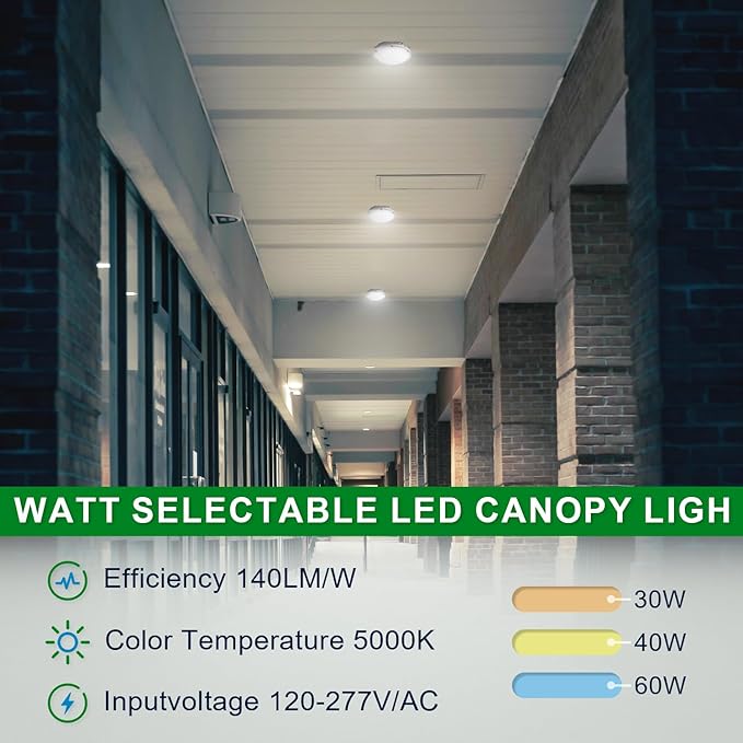 OSTEK LED Garage Light 30W/40W/60W LED Carport Canopy Lights 5000K 90-277V IP65