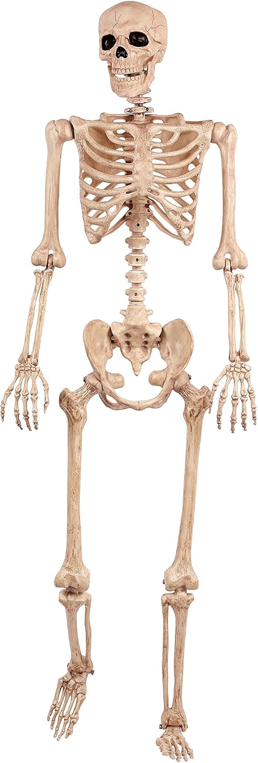Crazy Bonez Original Pose-N-Stay Halloween Skeleton, 5 FT – Life-Size