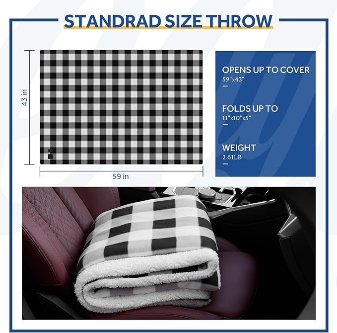 Sealy 12-Volt Heated Car Blanket