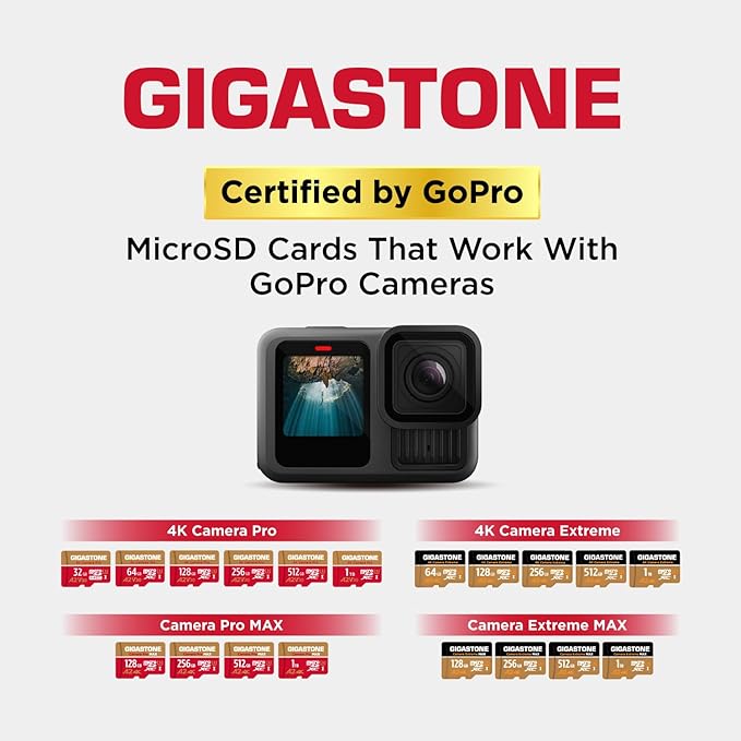 GIGASTONE 256GB Micro SD Card