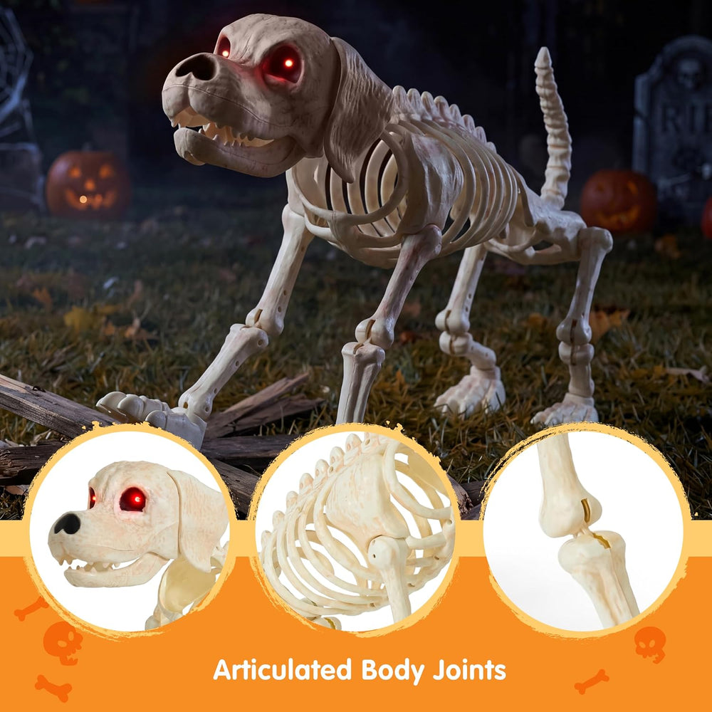 JOYIN Halloween Golden Retriever Skeleton 34” Animal Dog Plastic Skeleton wit...