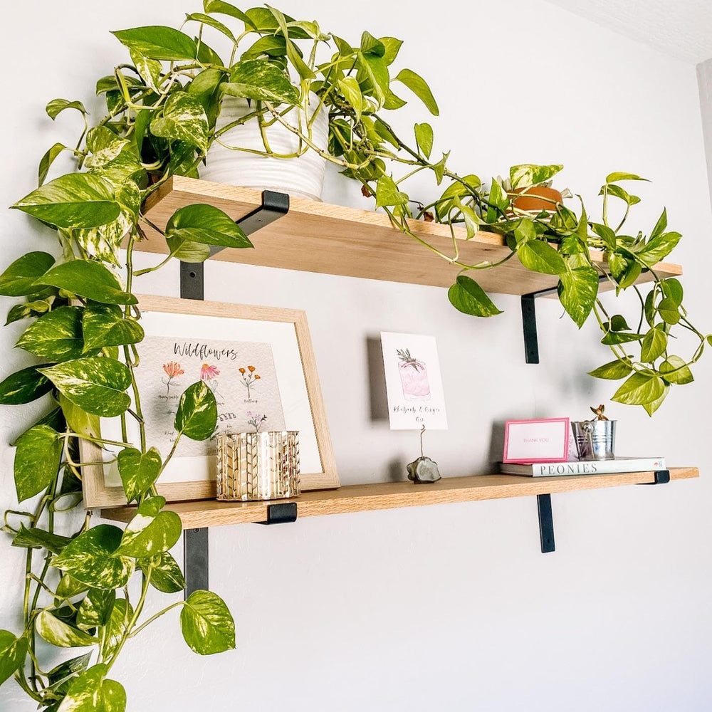 Heavy-Duty Shelf Brackets - Premium Construction Grade 1/4" (6mm) Thick ...