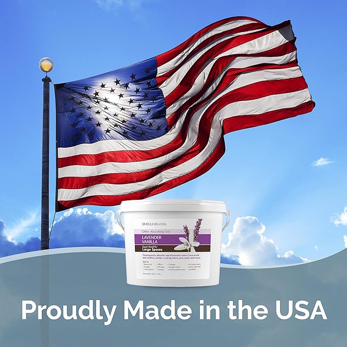 SMELLS BEGONE 1-Gallon Odor Absorber Gel