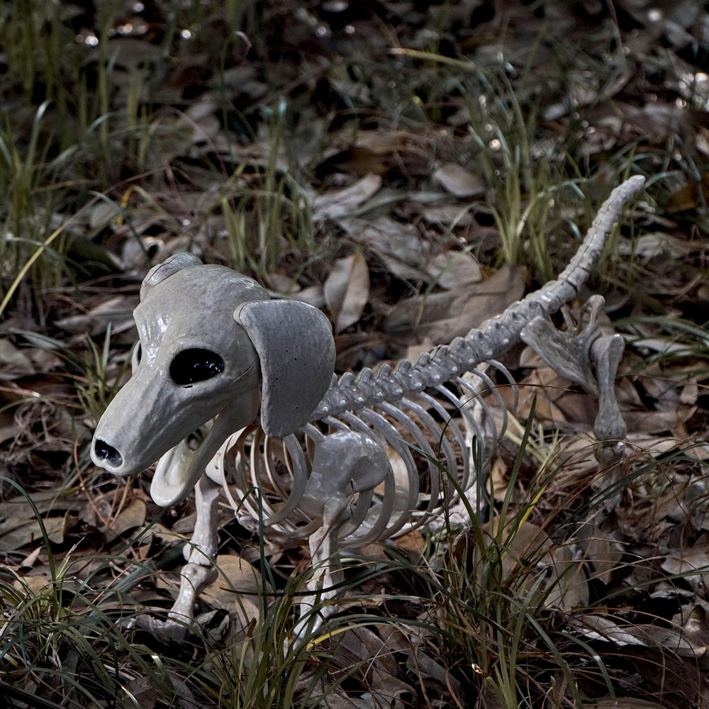 JOYIN Wiener Dog Skeleton 24” Plastic Animal Posable Skeleton Halloween Decor...