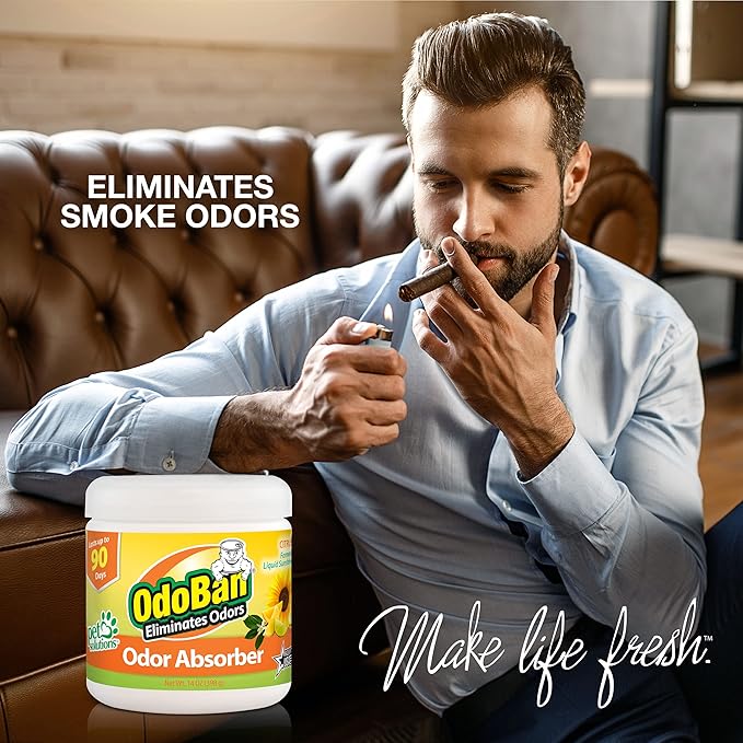 OdoBan Solid Odor Absorber Eliminator (9-Pack)