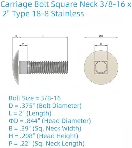 SANTIE 18-8 Stainless Steel Carriage Bolt, 3/8-16 X 2 in.25pc