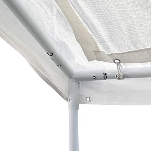 Caravan Canopy D2C20011 Domain Shelters Pro 200 10' x 20' Carport, Up...