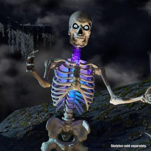 Home Accents Holiday LED 12 ft. Skelly Lighting Kit, Giant-Sized Skelly with ...