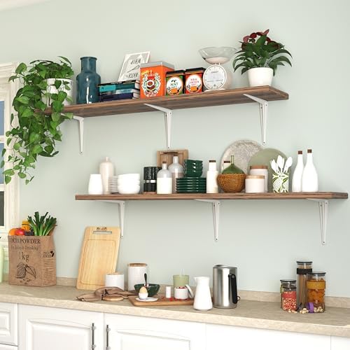 20 Pack Shelf Brackets 10 Inch, White Metal Brackets for Shelves, L Shape She...