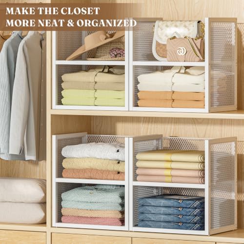 DAOUTIME 6-Tier Stackable Closet Organizers and Storage Basket, Wire Closet S...