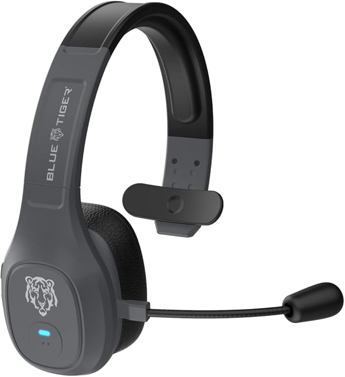 Blue Tiger Storm Gray