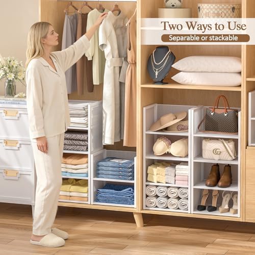 4-Tier Stackable Closet Organizers and Storage Basket, Wire Clothes Shelf Org...