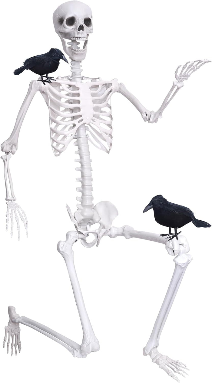 Wocst 6Ft Life Size Skeleton Posable Skeleton with Movable Joints Halloween Full Body Plastic Human Bones with 2PCS Black Crows for Halloween Indoor Outdoor Decor
