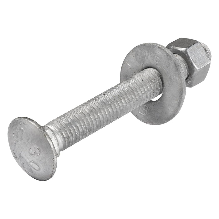3/8" x 4" (50 Pack) Galvanized Carriage Bolt Kit, Grade 307A, Hot Dip Galvanized for Exterior Use by Makers Bolt