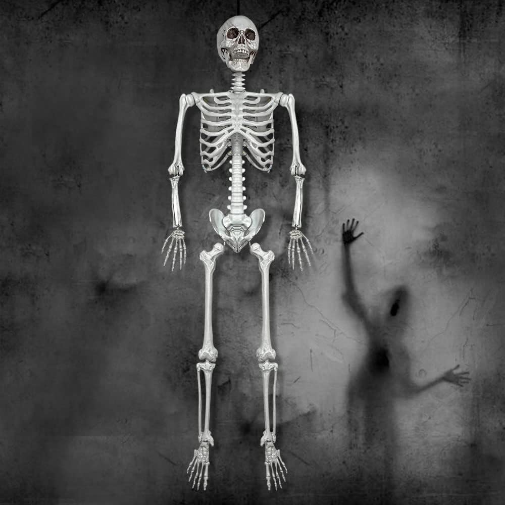 Wocst 5.4Ft/165cm Halloween Skeleton Full Body Life Size Human Bones with Mov...