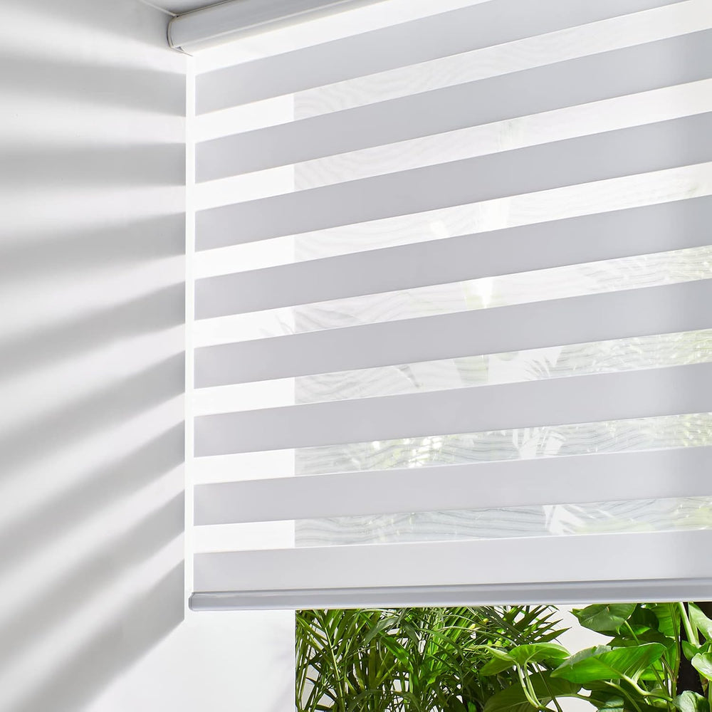 Persilux Zebra Roller Shades for Windows, Privacy Roller Blinds for Windows