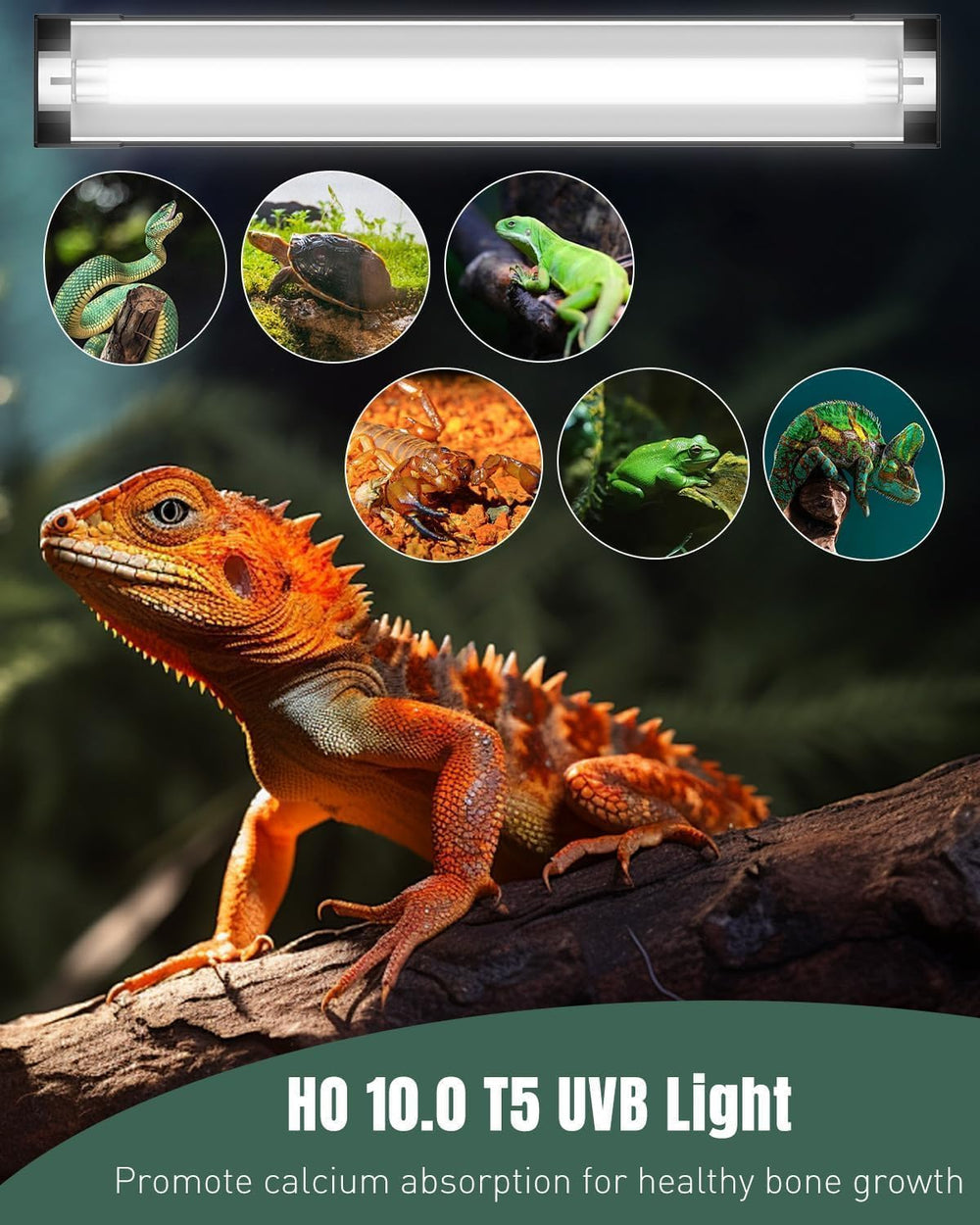 Pawfly T5 Reptile Light Combo Kit with 2 UVB Tubes, 10.0 UVB Light Fixture wi...