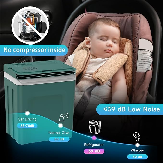 SHAREWIN Electric Cooler & Warmer