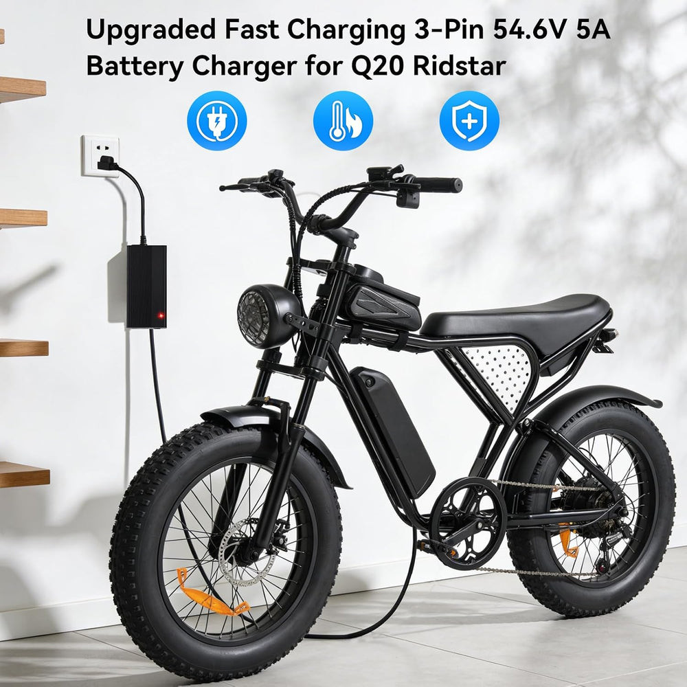 Upgraded Fast Charging 3-Pin 48V 5A Battery Charger for Q20 Ridstar, Battery ...