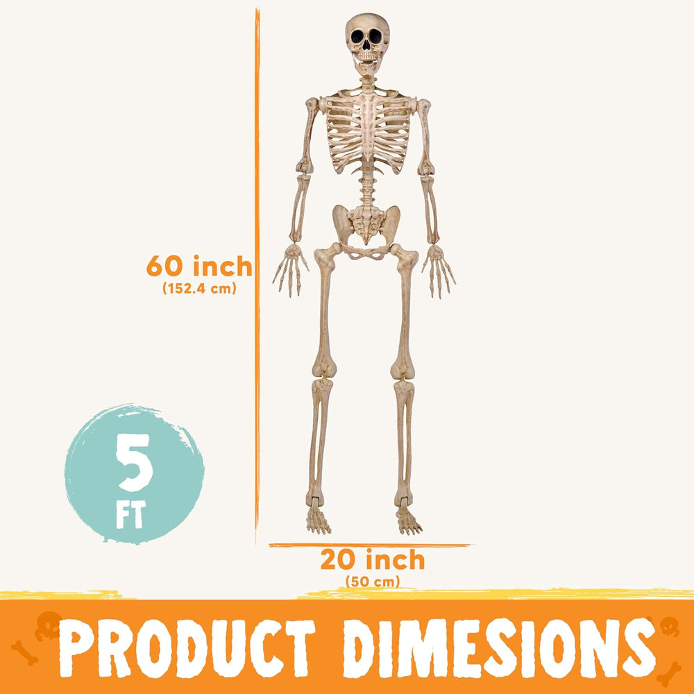 JOYIN 5 FT Halloween Skeleton Life Size, Stayable Posable Skeleton Decor, Ful...