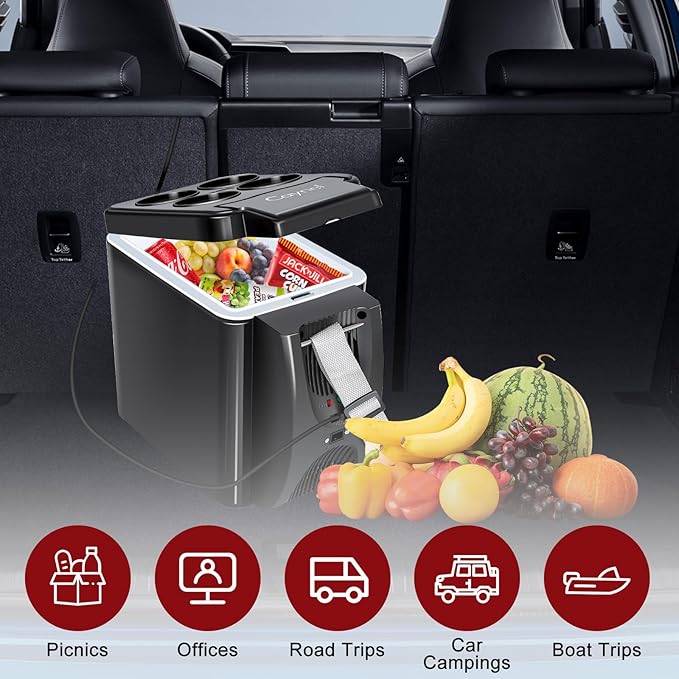 CAYNEL 12V 6 Quart Personal Thermoelectric, 6 Liter Capacity, Portable Electric