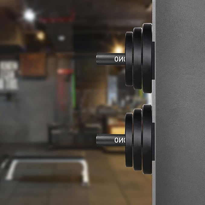 Weight Plate Holder, Wall Mounted Weight Rack Storage