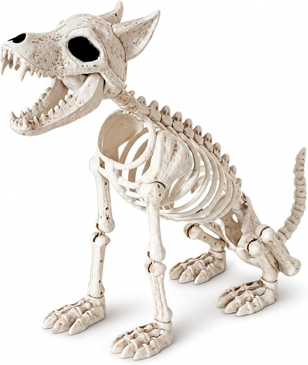 JOYIN 34” Wolf Skeleton Halloween Decoration, Plastic Animal Skeleton with Mo...