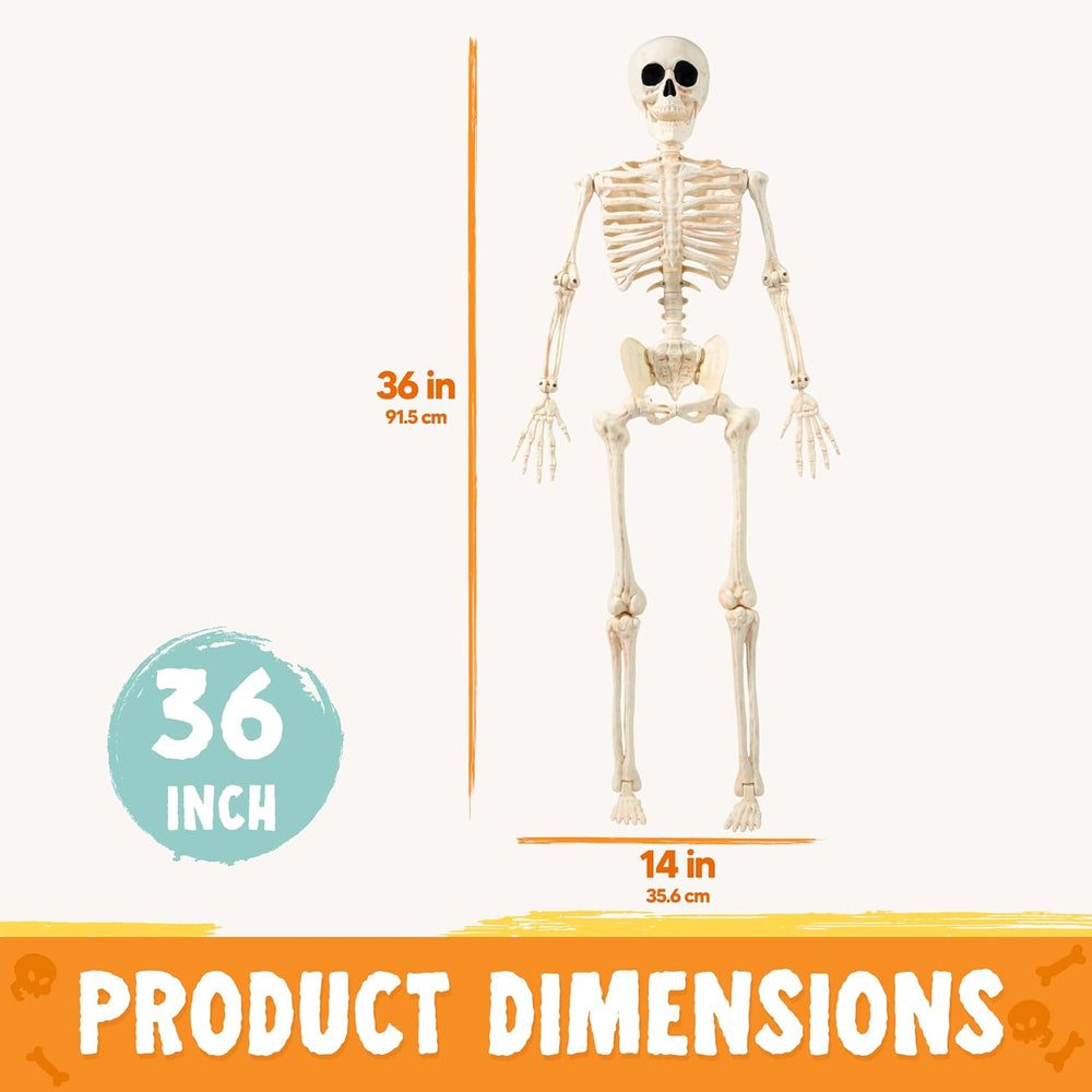 JOYIN 36" Halloween Skeleton Decor, 3FT Full Body Realistic Bones with S...