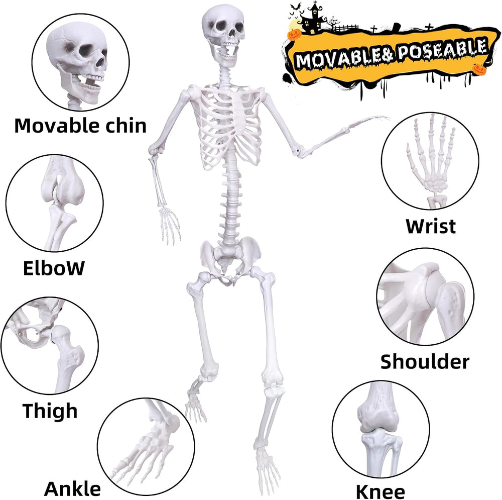Wocst 6Ft Life Size Skeleton Posable Skeleton with Movable Joints Halloween F...