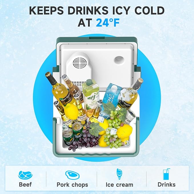 SHAREWIN Electric Cooler & Warmer