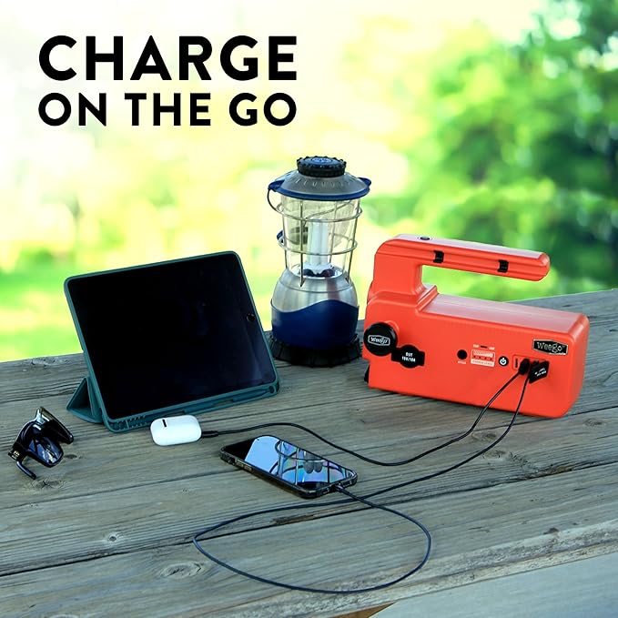 Weego 120 12V Jump Starter, 5000 Peak Amp / 1200 Cranking Amp, Smarty Clamp
