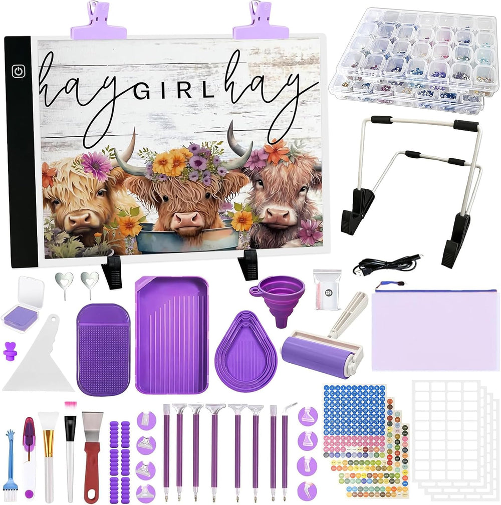 FANGZH Diamond Painting Storage Accessories Kit with A4 Light Pad, Bead Organ...